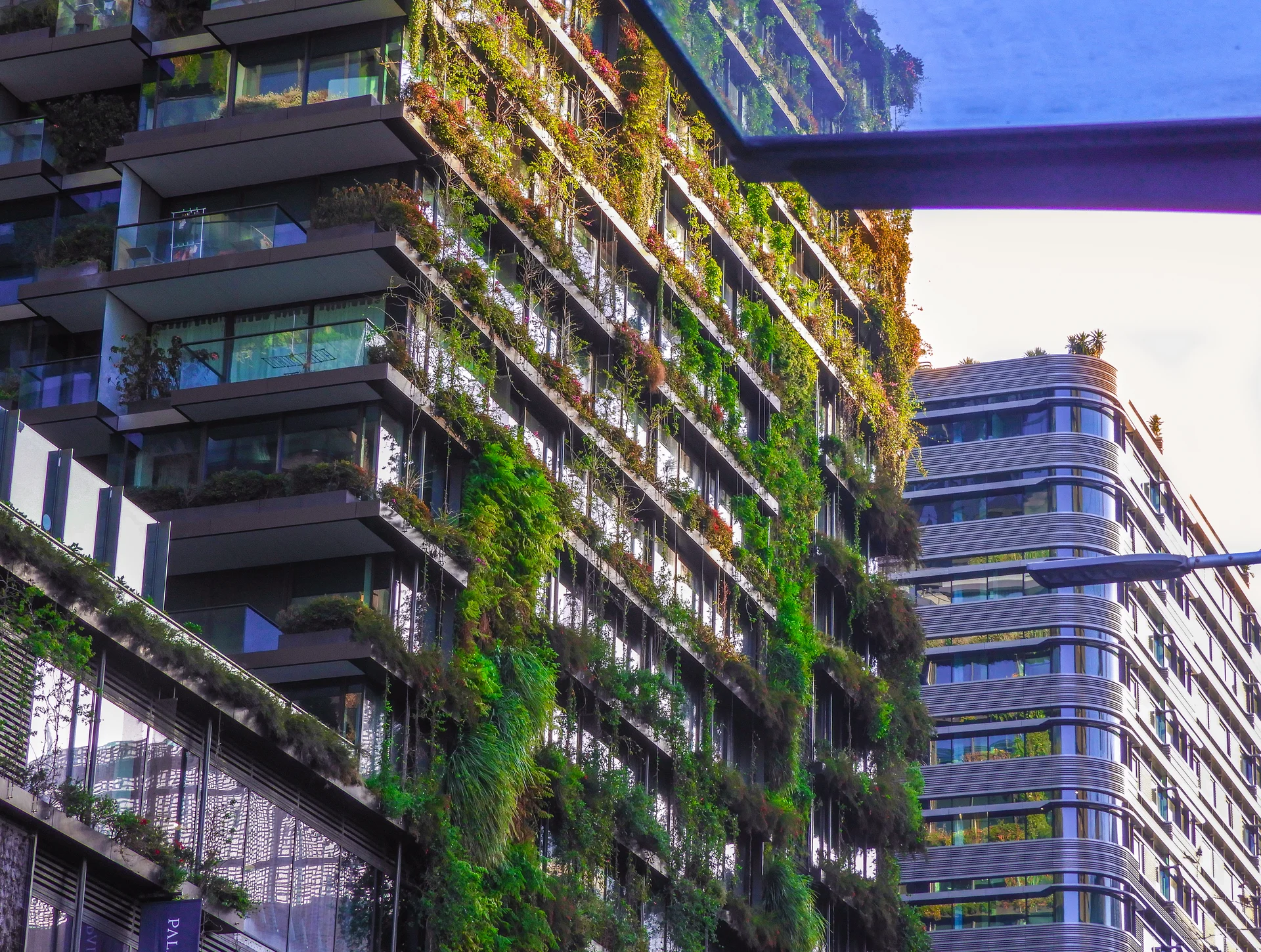 Photography Portfolio - Image 18